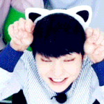 [EXO] 미안한데 고양이 이름좀 정해주라 ㅜㅜㅜ