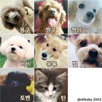 [EXO] 이렇게보니까 새삼