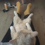 [댓글부탁해] 유인나이쁘긴한데