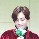 [세븐틴] <b>정한</b>이 말이야.. 아무말 장인인 것 같지만