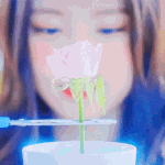 [드루와] 애들아 애니 추천좀!!!!