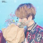 [EXO] ㅁㅊ꽃 <b>조화</b>라고?