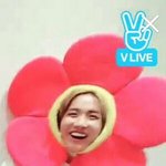 [방탄소년단] ^0^