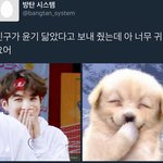 [방탄소년단] 이 귀여운 <b>생물체</b>를 어찌하면 좋을까......
