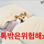 [방탄소년단] 요즘팬톡