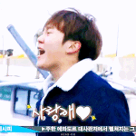 [세븐틴] ㅅㄷ 캐럿떨 캐럿떨!!