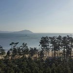 [모든팬덤] 한 머글이 추천하는 수록곡