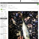 [<b>수달</b>] <b>수달</b> 멸종위기 라고 들었는데.. 낚시카페 가입했다 맴찢...