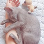 개학 때 화장 얼마나 할거야?