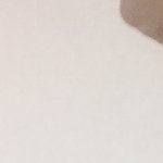 [댓글부탁해] 나 <b>앞니</b>만 ㅈㄴ 튀어나와있음 혐주의