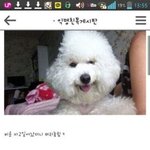 자기 입으로 4<b>차원</b>이라고 하는 애들 특징