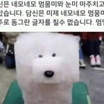 [댓글부탁해] 너희 지금까지 고백 몇번 받아봤어?