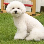 너네 학교 <b>분반</b>임? 합반임?