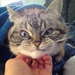 [댓글부탁해] <b>홍조</b> 부러워하는사람도 있음?