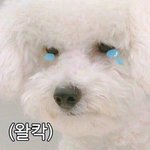 [EXO] 이리치이고,,,<b>저리</b>치이고,,,,