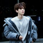 [EXO] 행복이들 짤파티나 하자