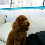 [방탄소년단] <b>홀리</b>톡 가라니...