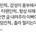 [EXO] <b>옹호</b>해라 ㅆㅂ 해 ㅈ같은년들ㅜ