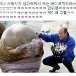 좋아하는 친구유형 추반좀 ㅠㅠ