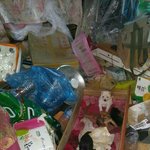 [동행세상] <b>사설</b>보호소 컨테이너에서 태어난 믹스견 톰.