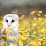 <b>네모</b>네모<b>빔</b>믈 맞믄 돔물 모믐