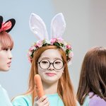 나를 <b>힐링</b> 시켜주는 귀요미들