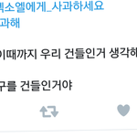 분명 아미가 잘못한 것은 맞지만 엑소엘도 <b>대응</b>이 너무 과격한 듯