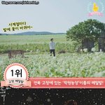 [EXO] 돆애비 메밀꽃밭 <b>촬영</b>지