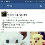 [강아지] <b>부산진</b>구강아지를찾습니다