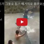 [대박이슈] 웃긴영상 떼거지로 몰려오는