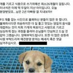 [강아지장난] 이 미친 쓰레기 악마 잡아야해요