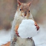 막춤출건데 노래 <b>츄</b>천좀^!^