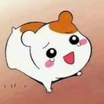 [댓글부탁해] 나보다 얼굴 더 심각한애들 있어?