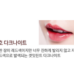 [드루와] 로드샵 인생 립제품 추천!!