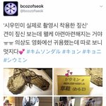 [시우민] 시우민이 실제로 <b>착용</b>한 짚신이래