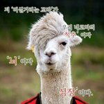 [<b>하이</b>큐] 좋아하는 짤 3개 (무근본ㅈㅇ)