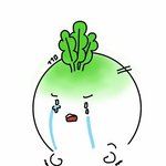 너네 전안법 봤어?