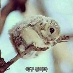 <b>섀도</b>팔레트 실용적인거 뭐있어 ?