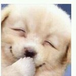 [드루와] 좋아하는얘한테 선톡왔다!!!
