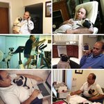 개는 <b>절대</b> 못 키운다고 반대하던 아버지 근황