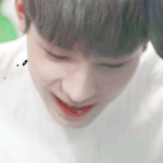 [세븐틴] ㅅㄷ <b>세뱃돈</b>