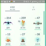 [드루와] 오늘 포켓몬 <b>중복</b>제외 40마리 모았어!