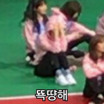 [레드벨벳] 짹에서 봤는데 이게 짱인듯!!