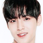 [세븐틴] ㅅㄷ 캐로시들아 심각해