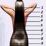 <b>머리</b> <b>길이</b> 봐 주개요
