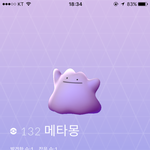 [EXO] 메131272타몽 잡는방법