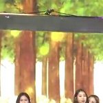 [댓글부탁해] 신데렐라 걸그룹