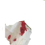 [댓글부탁해] 혐)입에서 피 줄줄 <b>흐름</b>ㅠㅠㅠ
