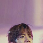 [EXO] 포토샵 잘하는 엑톡녀 없나