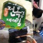 나 김 한봉지 다먹음